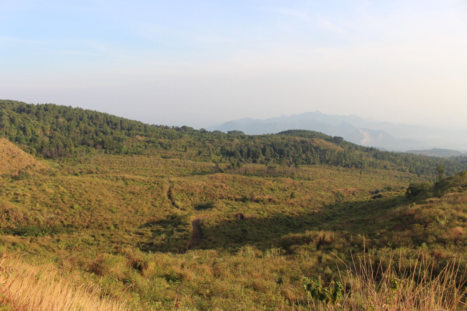 Canon EOS 700D (EOS Rebel T5i / EOS Kiss X7i) sample photo. Mountain, forest, grass photography