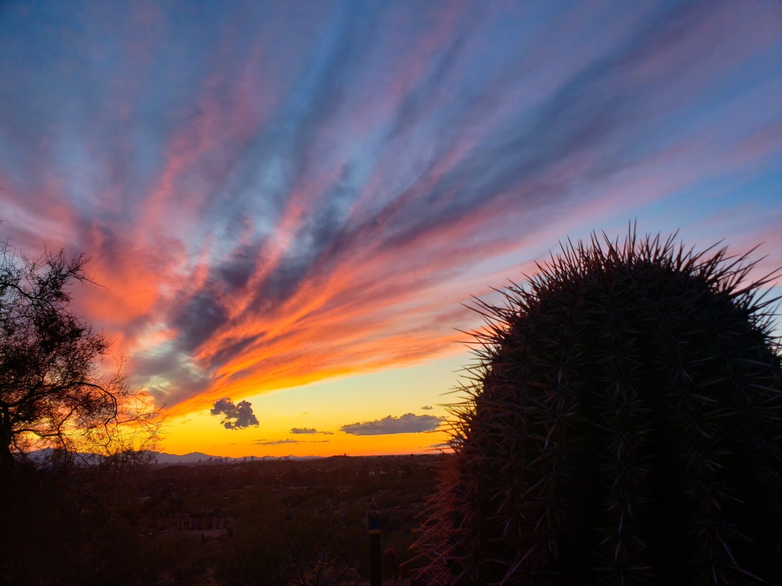 Samsung Galaxy Note9 sample photo. Cactus, sunset, clouds photography