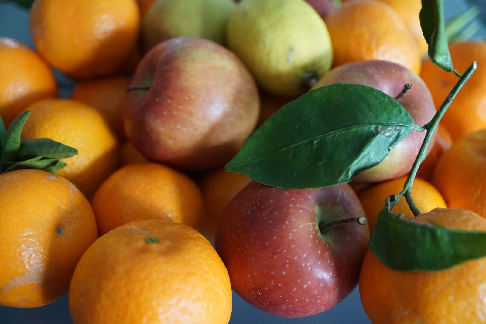 Sony DT 16-50mm F2.8 SSM sample photo. Apple, fruit, colorful photography