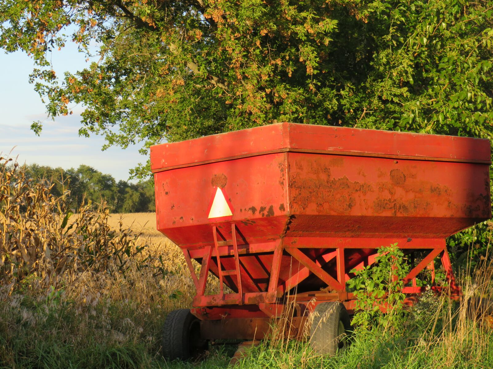 Canon PowerShot SX540 HS sample photo. Gravity, box, corn photography