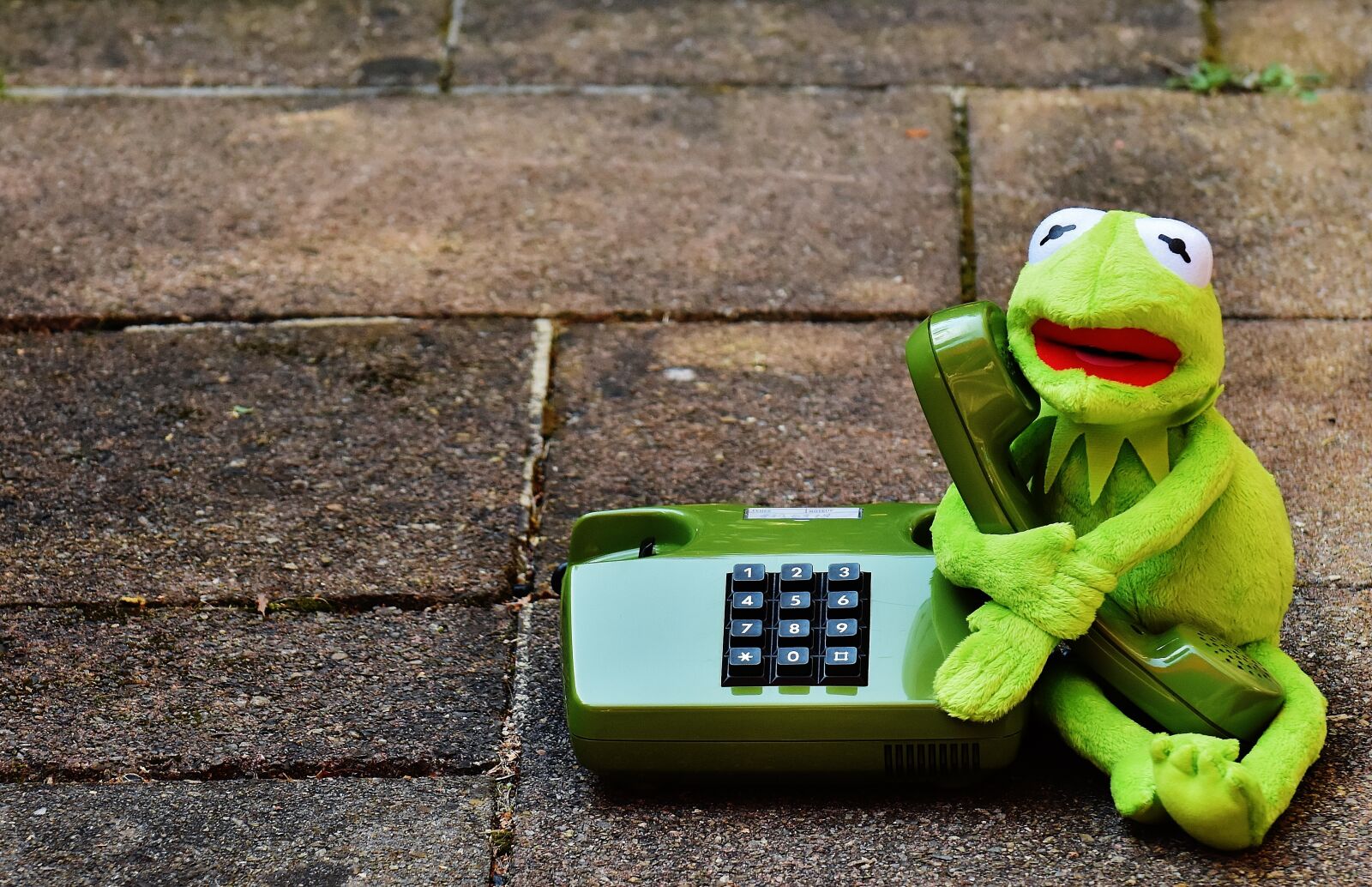 Nikon D7200 sample photo. Kermit, frog, phone photography