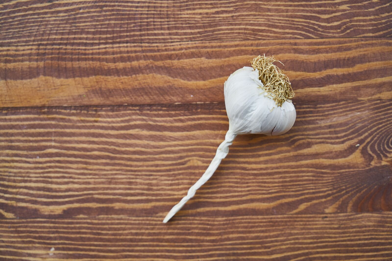 Sony a7R II sample photo. Garlic, scented, vegetable photography