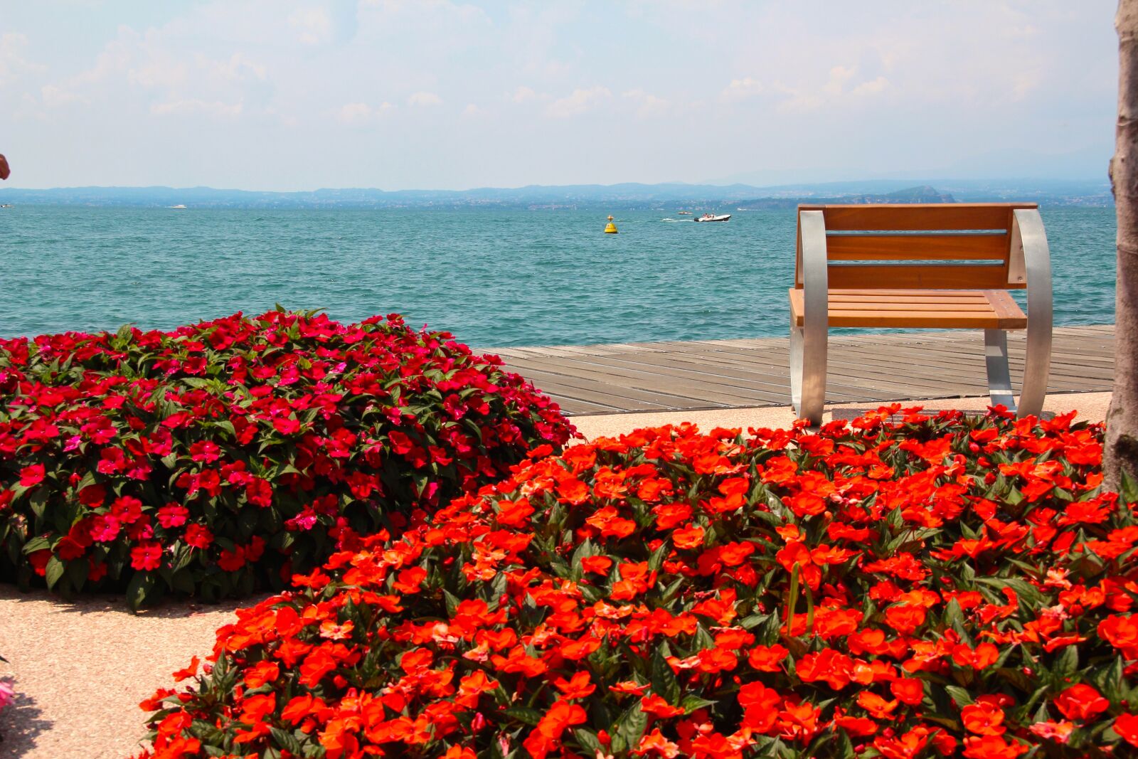 Canon EOS 600D (Rebel EOS T3i / EOS Kiss X5) sample photo. Bank, seat, bench photography