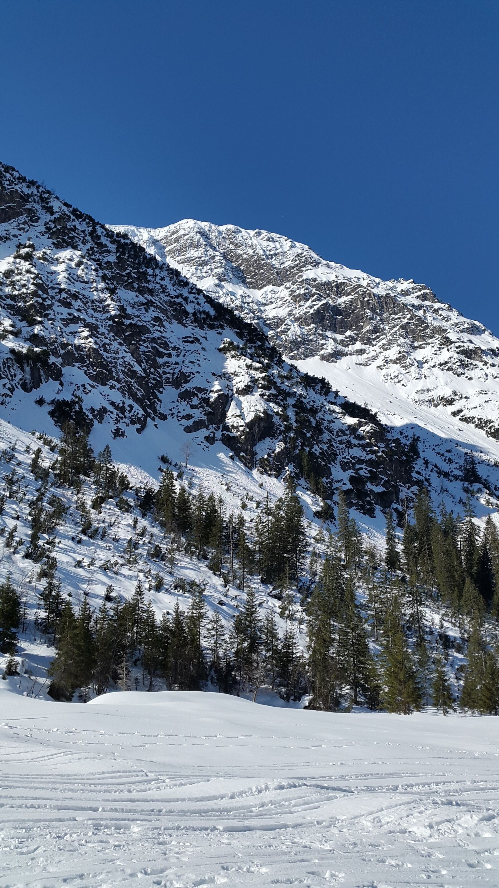 Samsung Galaxy Alpha sample photo. Kleinwalsertal, alpine, wildental photography