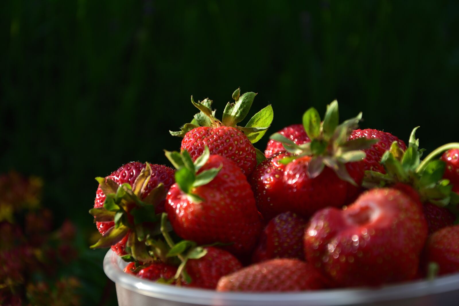 Nikon D3400 sample photo. Strawberries, bowl, fruit photography