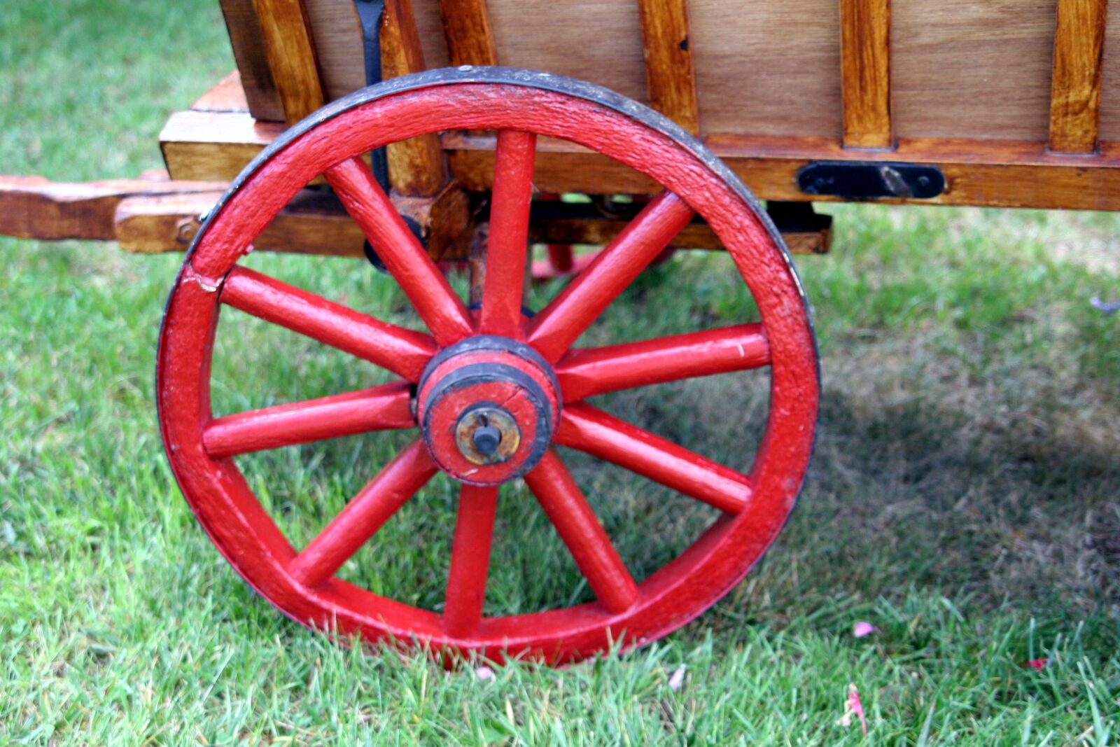 Canon EOS 350D (EOS Digital Rebel XT / EOS Kiss Digital N) sample photo. Wheel, cart, red photography