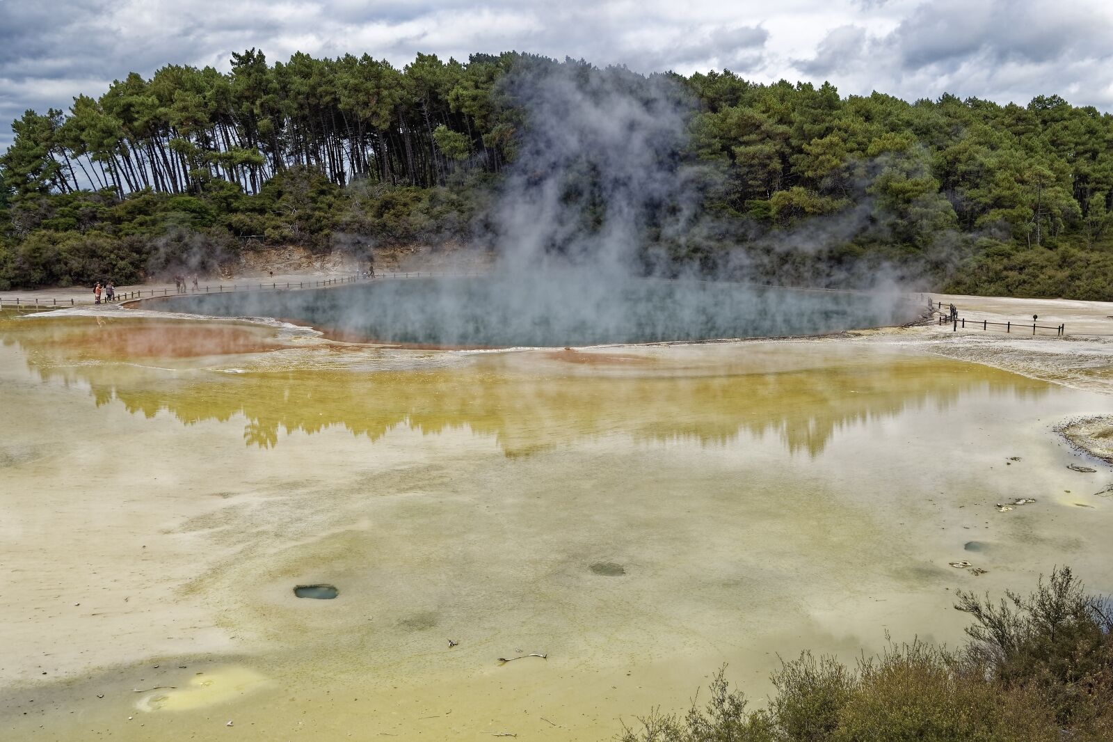 Nikon D500 sample photo. New zealand, wai-o-tapu, waiotapu photography