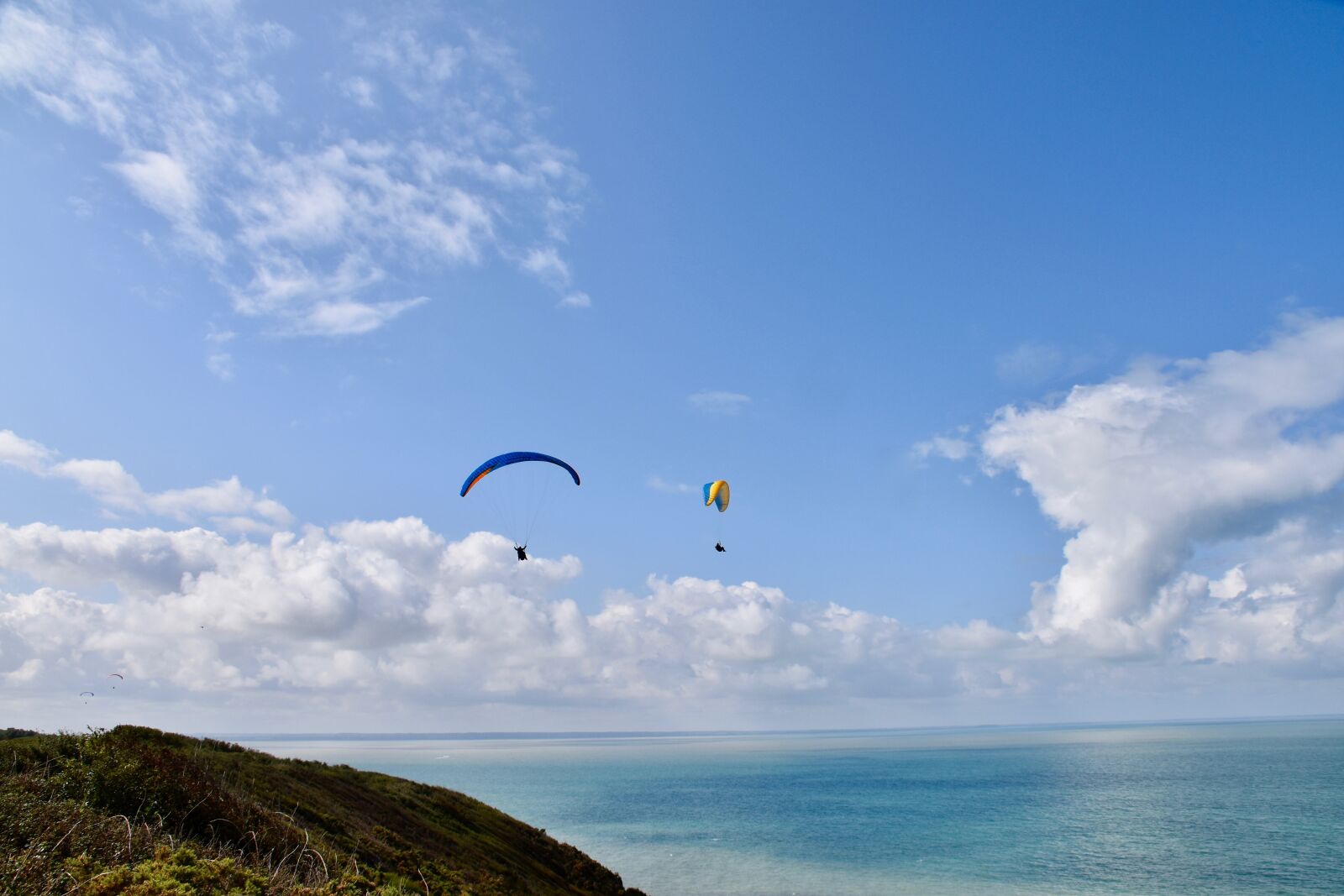 Nikon D5600 sample photo. Panoramic views, paragliders, flying photography