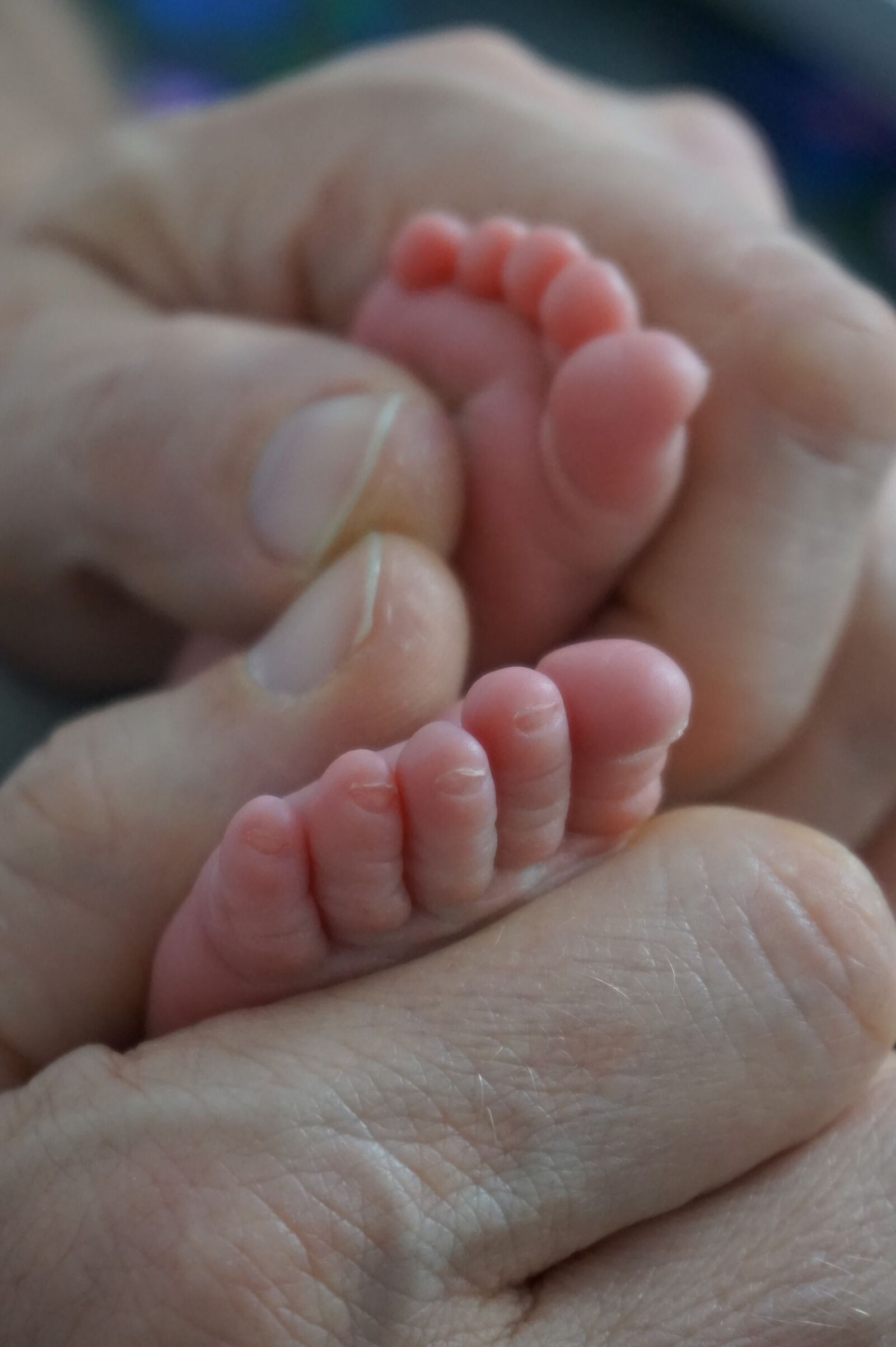Sony E 16-50mm F3.5-5.6 PZ OSS sample photo. Kinder, baby, baby feet photography