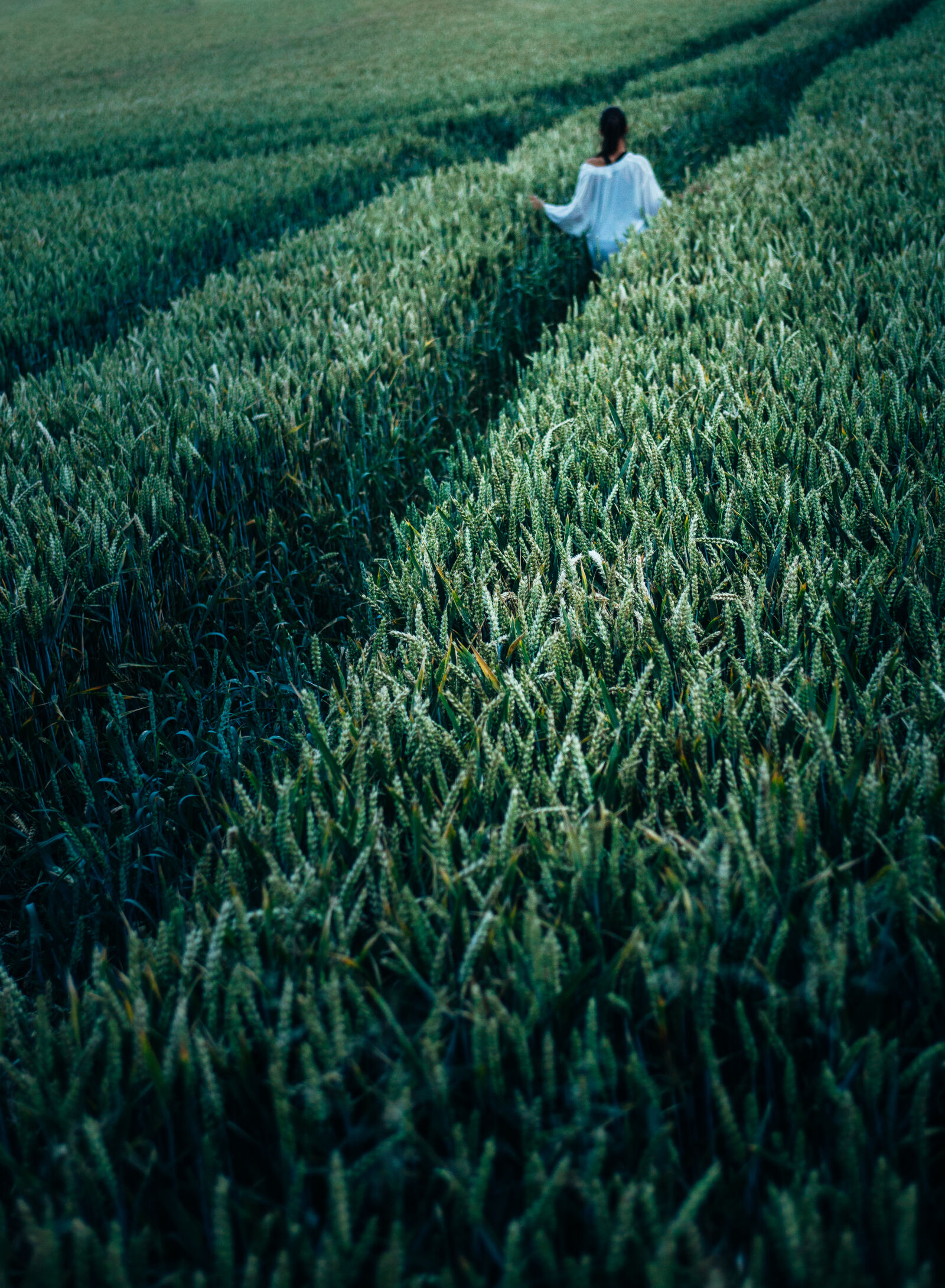Canon EF 28-70mm f/2.8L USM sample photo. Person, in, the, field photography