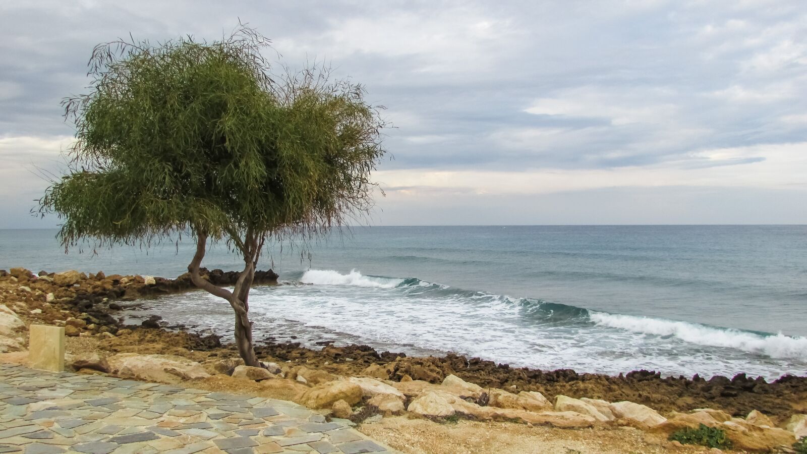 Canon PowerShot SX400 IS sample photo. Tree, sea, cloudy photography