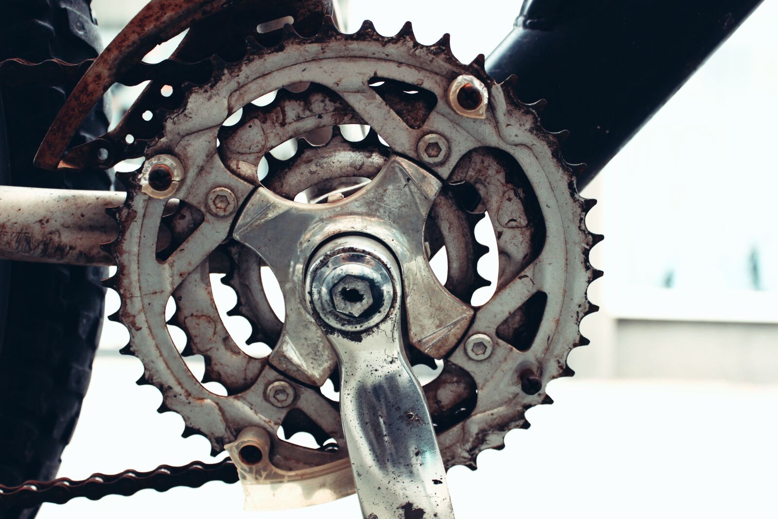 Canon EOS 600D (Rebel EOS T3i / EOS Kiss X5) sample photo. Gear, bike, bicycle photography