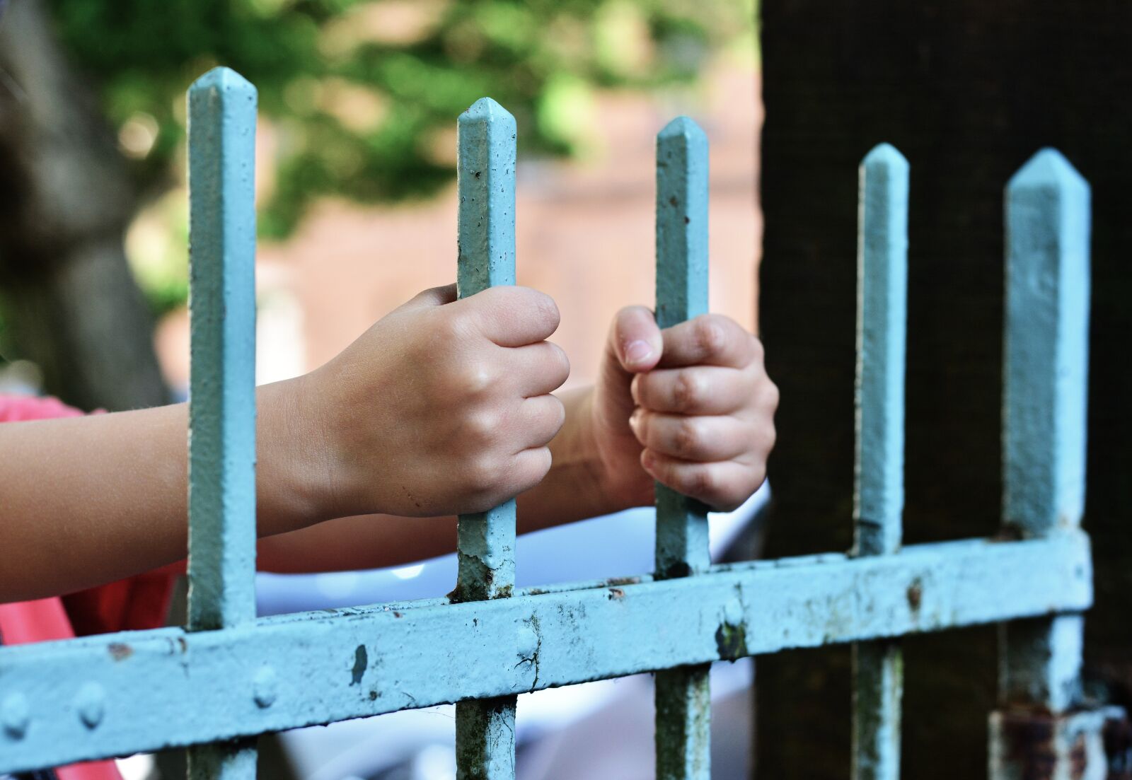 Nikon D5200 sample photo. Hands, fence, demarcation photography