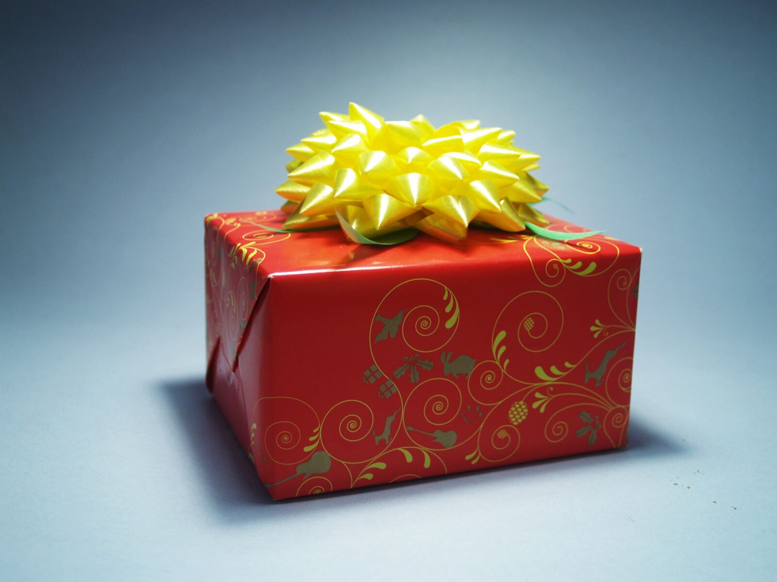Olympus E-300 (EVOLT E-300) sample photo. Red, and, yellow, gift photography
