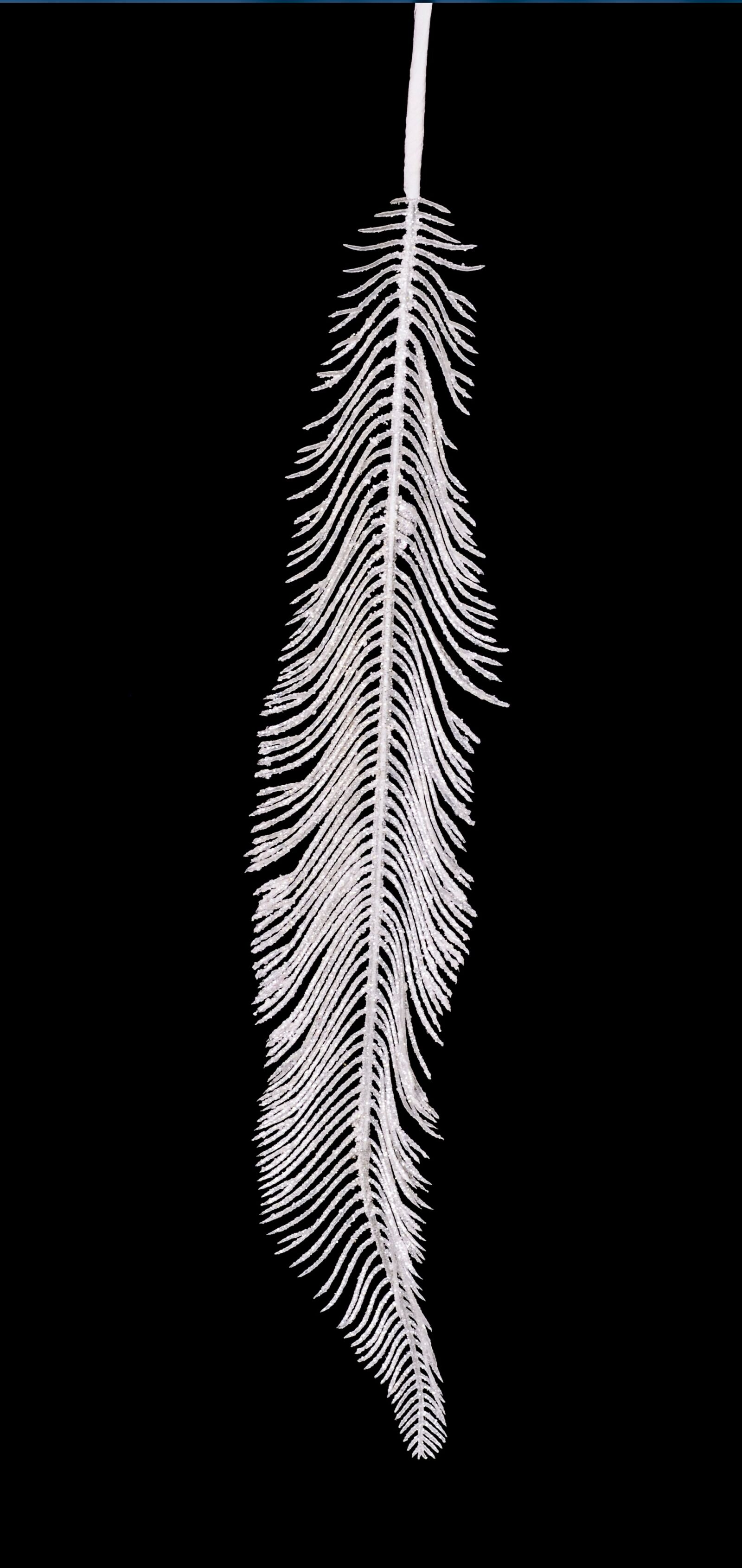 Nikon D90 sample photo. Feather, white, close up photography