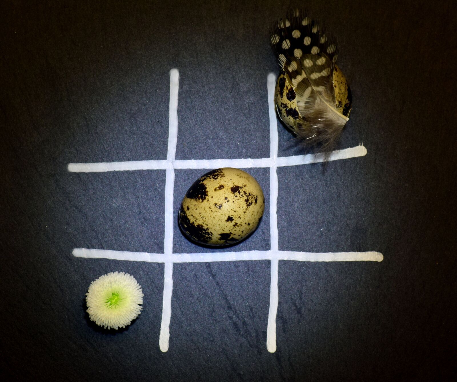Nikon D3300 sample photo. Egg, quail egg, play photography