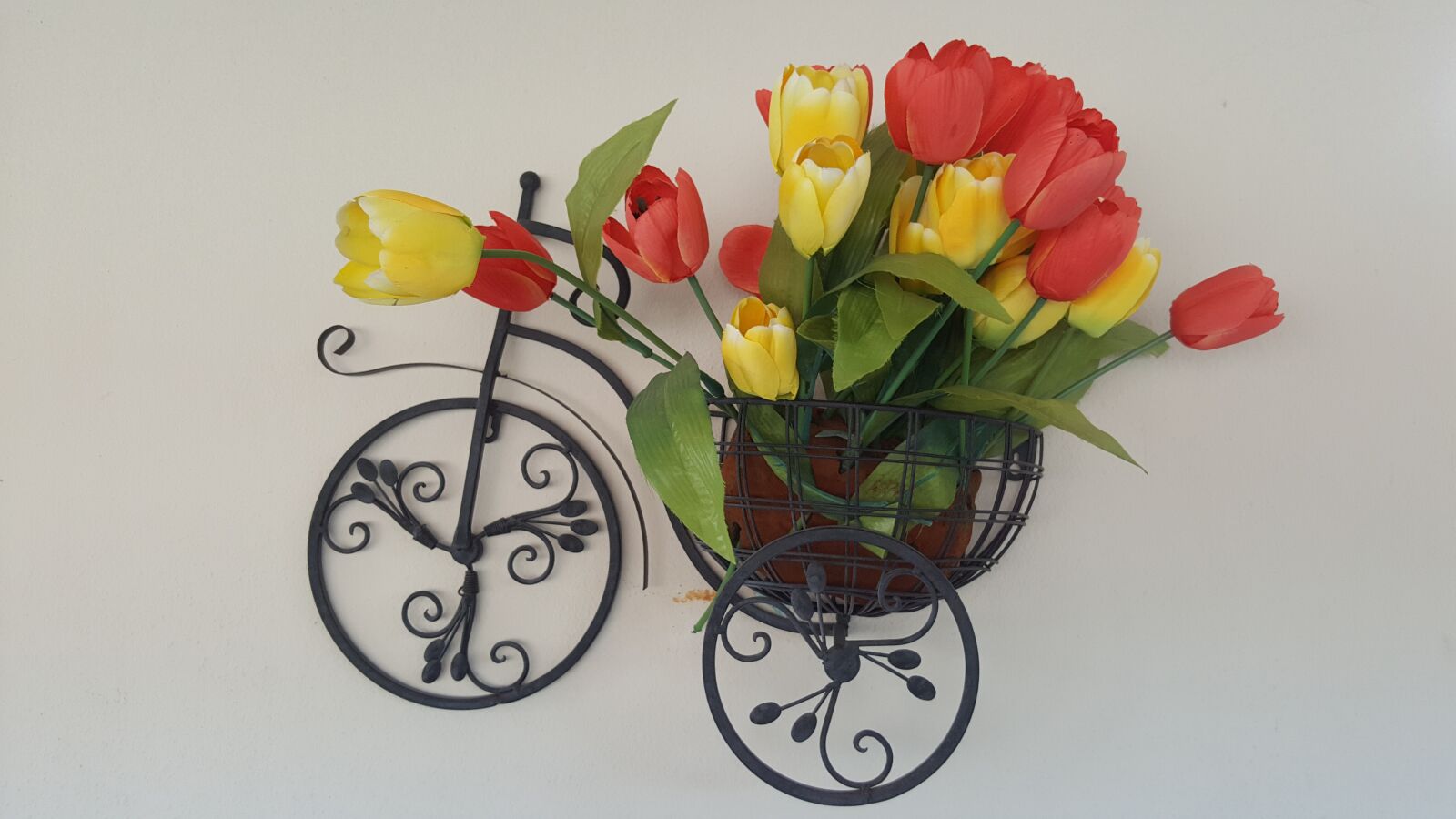 Samsung Galaxy Note5 sample photo. Garden, flowers, spring photography