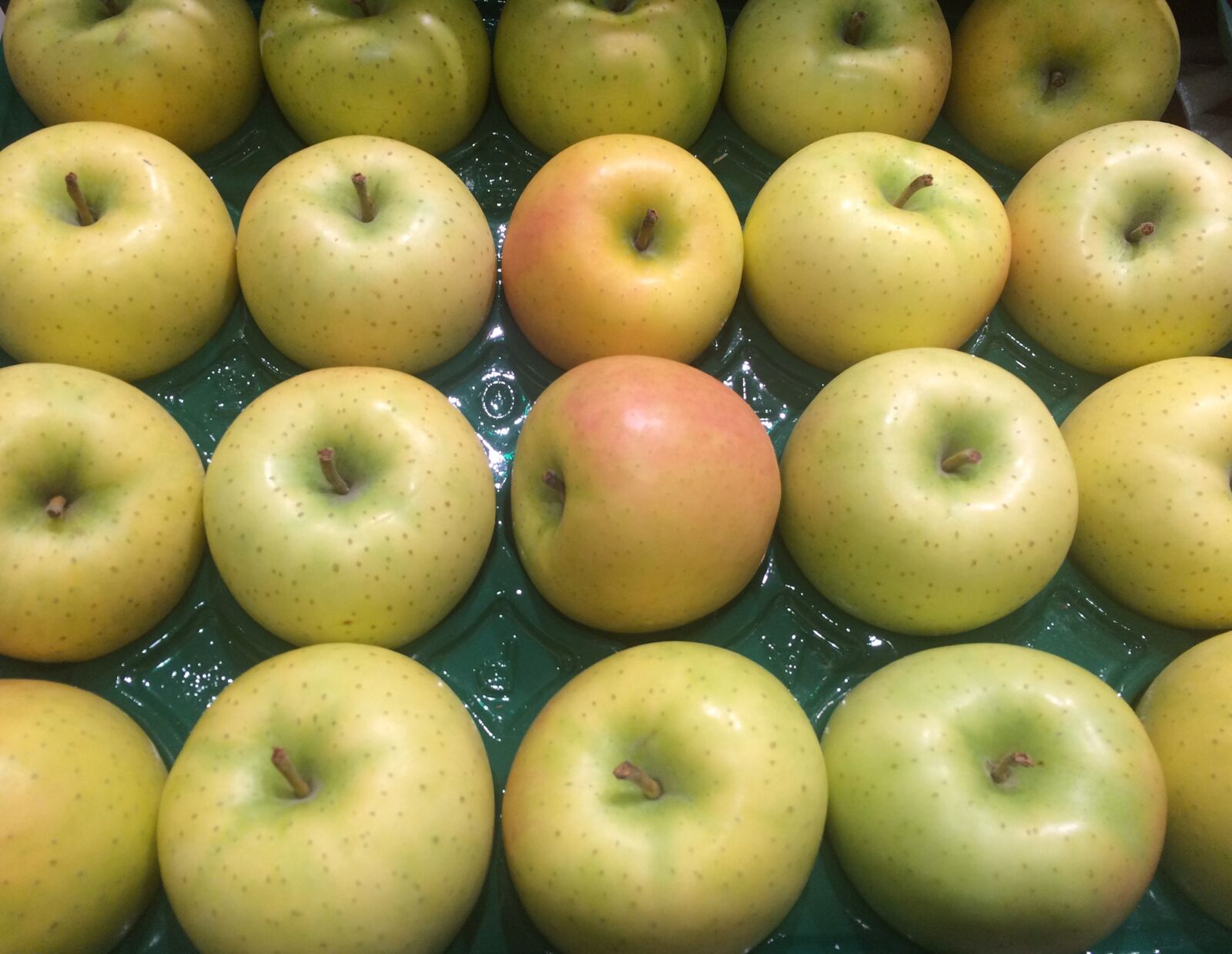 Apple iPhone 5s sample photo. Apple, green apple, fruit photography