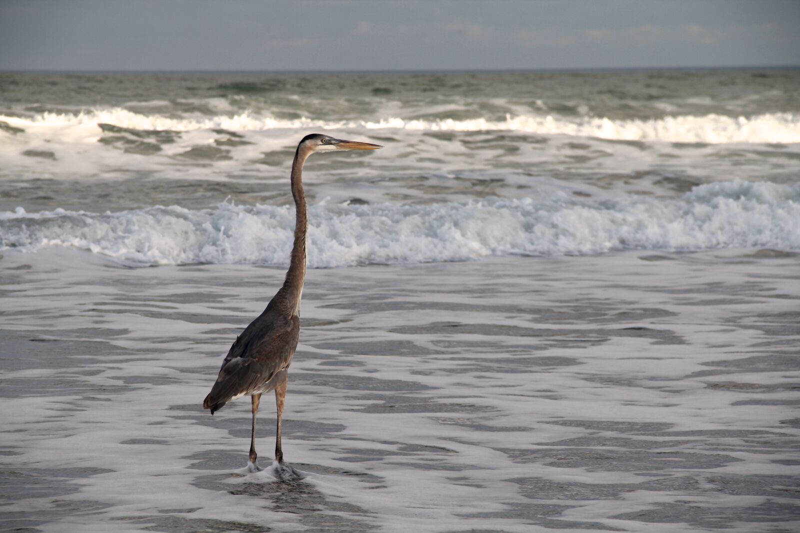 Canon EOS 60D sample photo. Cape, canaveral photography