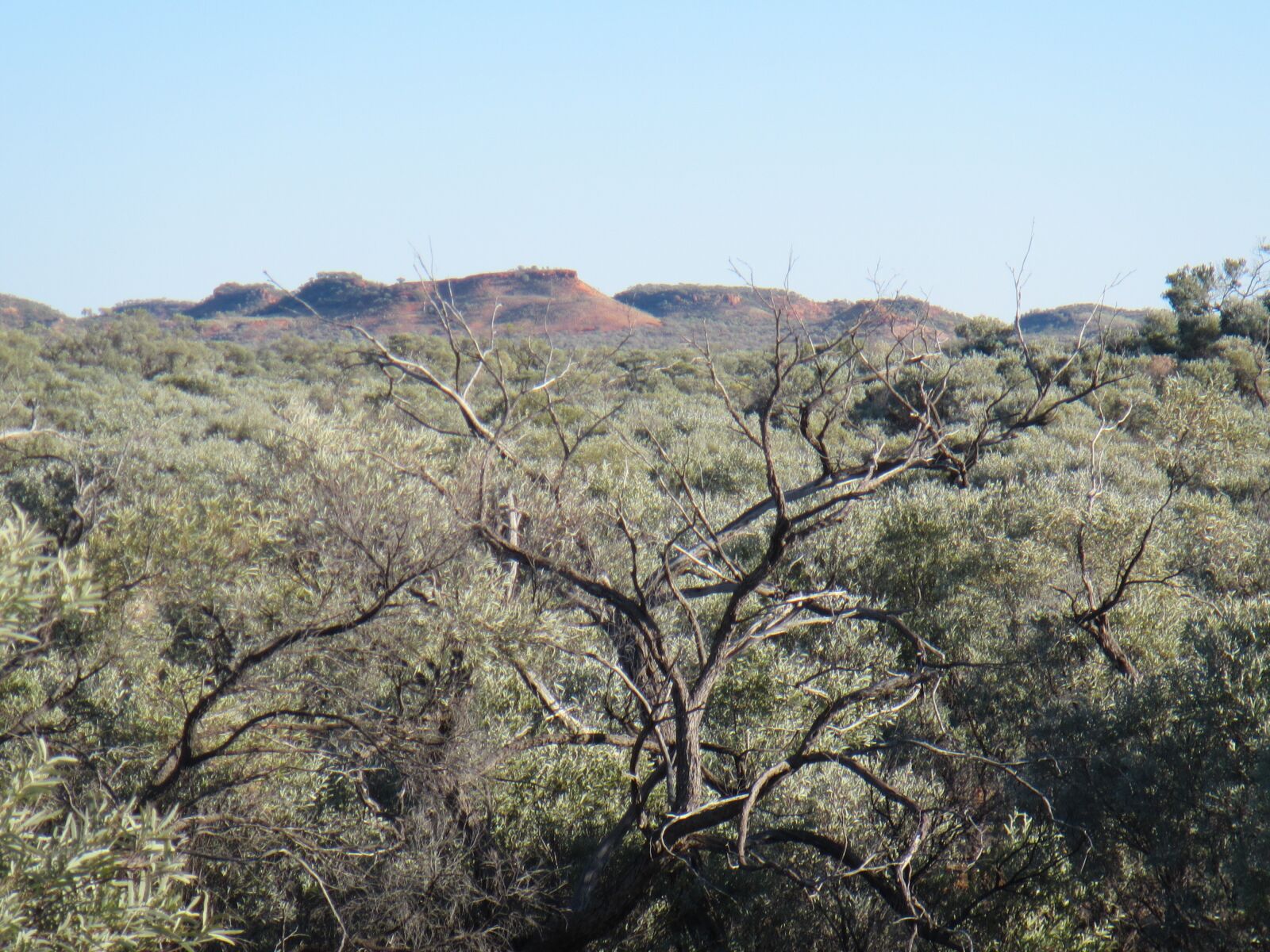 Canon PowerShot D30 sample photo. Winton, boulia, outback photography