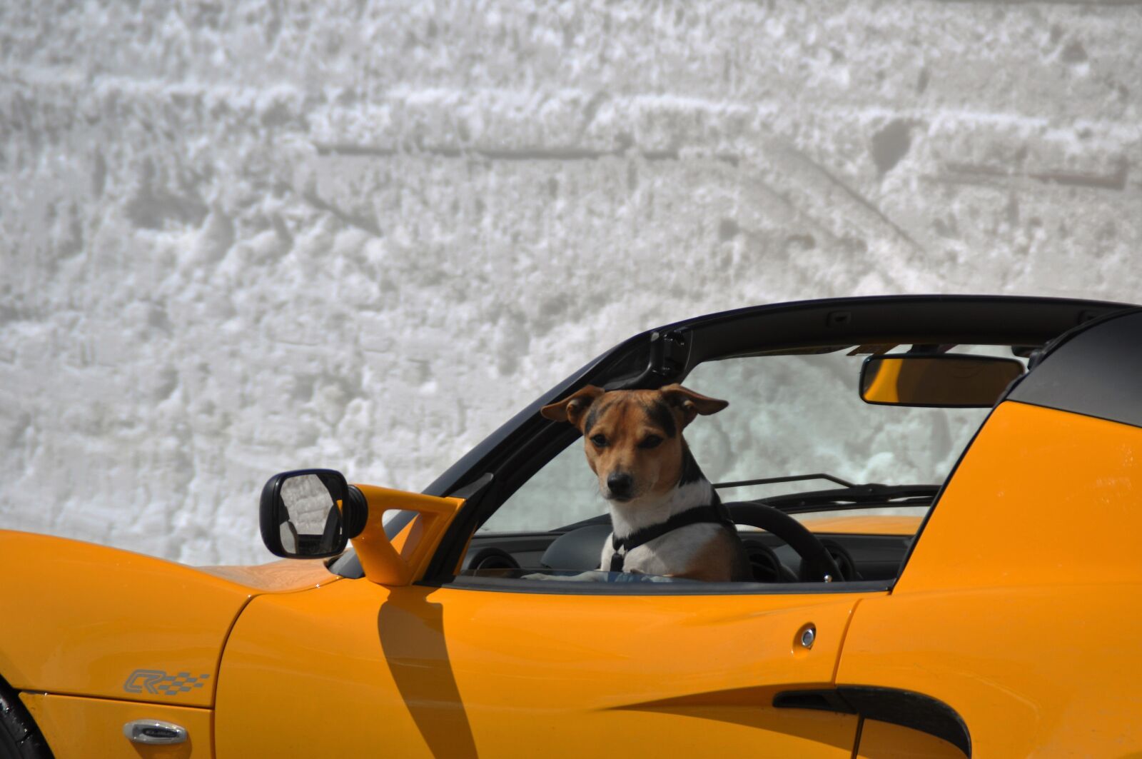 Nikon D90 sample photo. Sports car, convertible, luxury photography