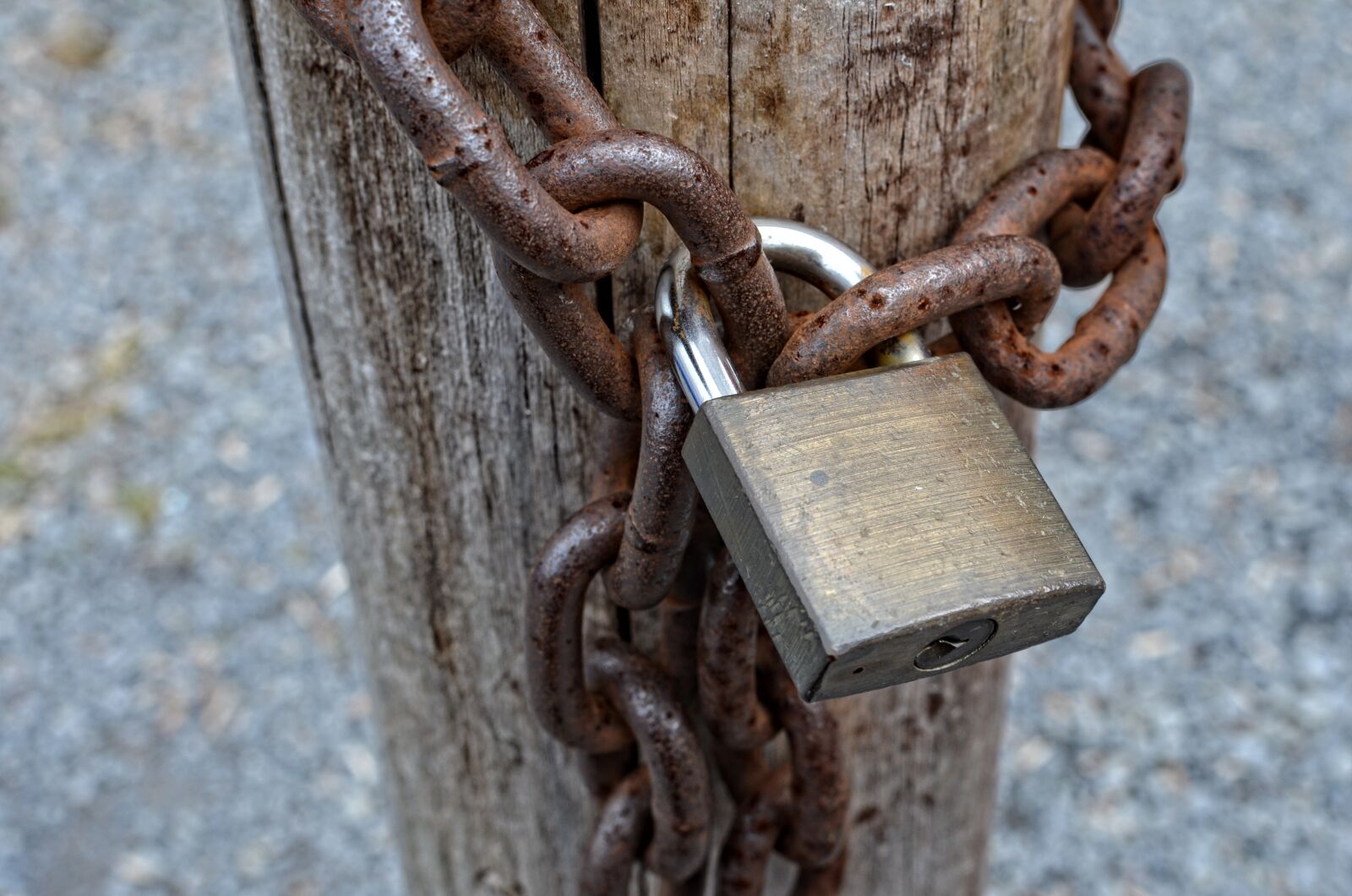 Nikon D7000 sample photo. Lock, chain, metal photography