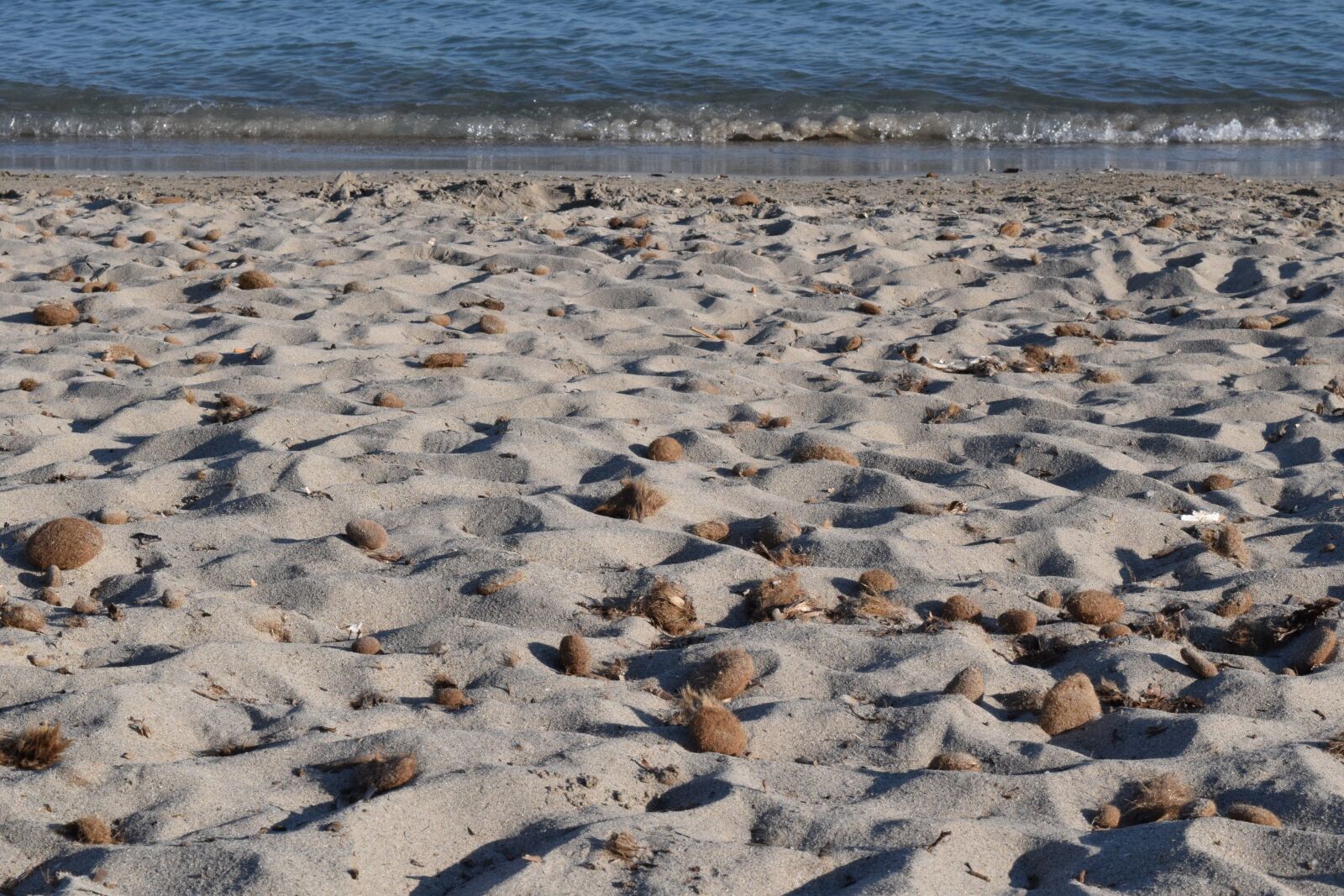 Nikon D3300 sample photo. Beach, sea, coast photography