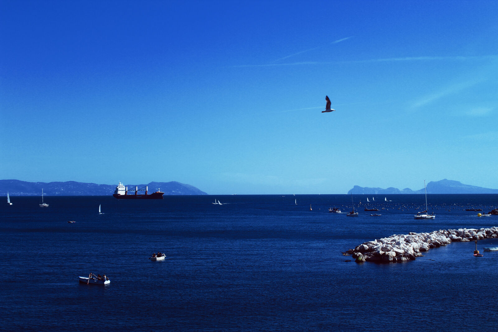 Canon EOS 1300D (EOS Rebel T6 / EOS Kiss X80) sample photo. Background, beach, bird, blue photography