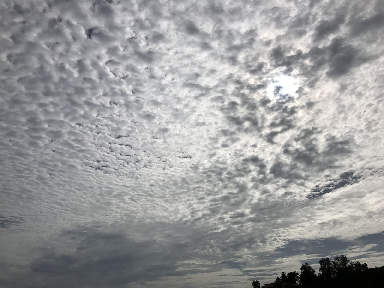 Apple iPhone 7 Plus sample photo