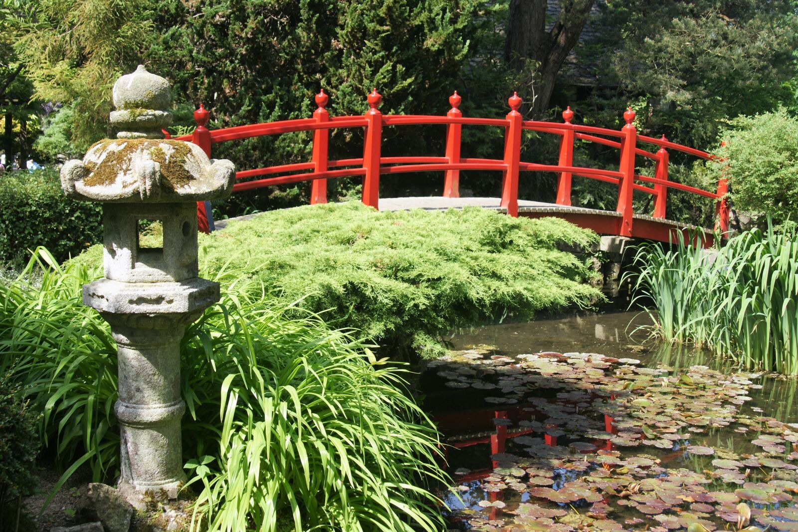 Sony Alpha DSLR-A700 sample photo. Bridge, japan, japanese garden photography