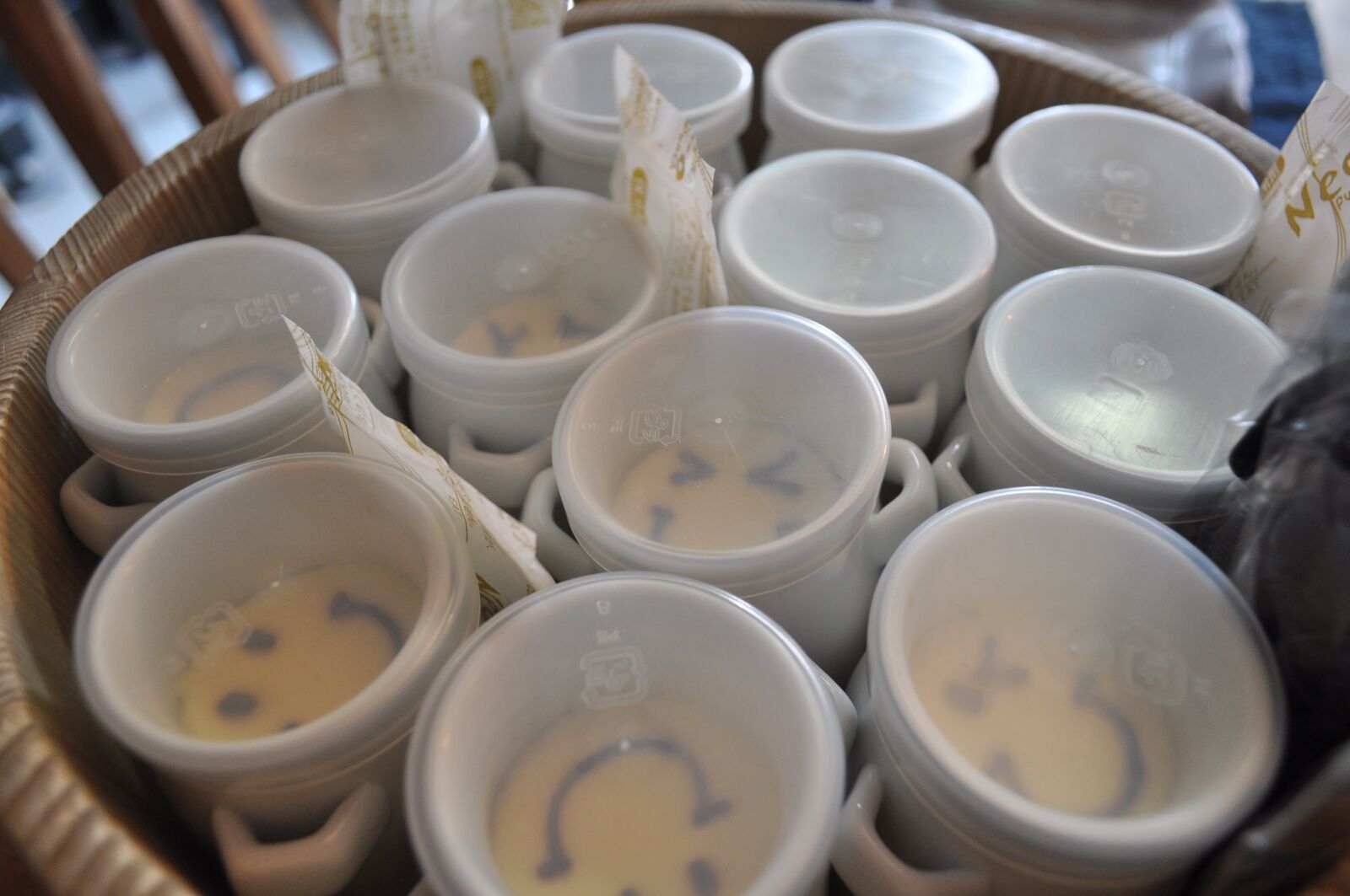 Nikon D5000 sample photo. Pudding, suites, enamel photography