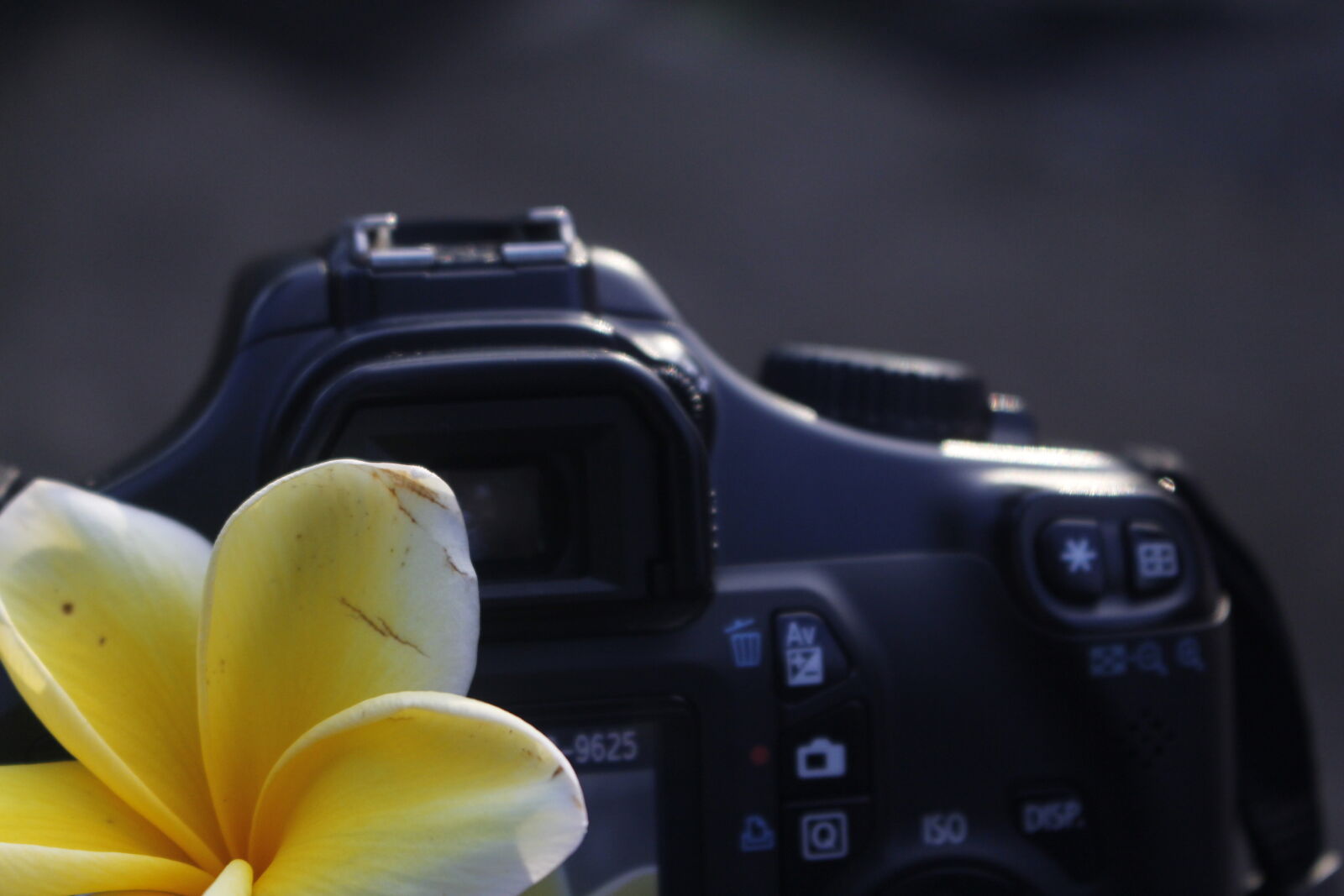 Canon EOS 700D (EOS Rebel T5i / EOS Kiss X7i) sample photo. Good, vibes photography