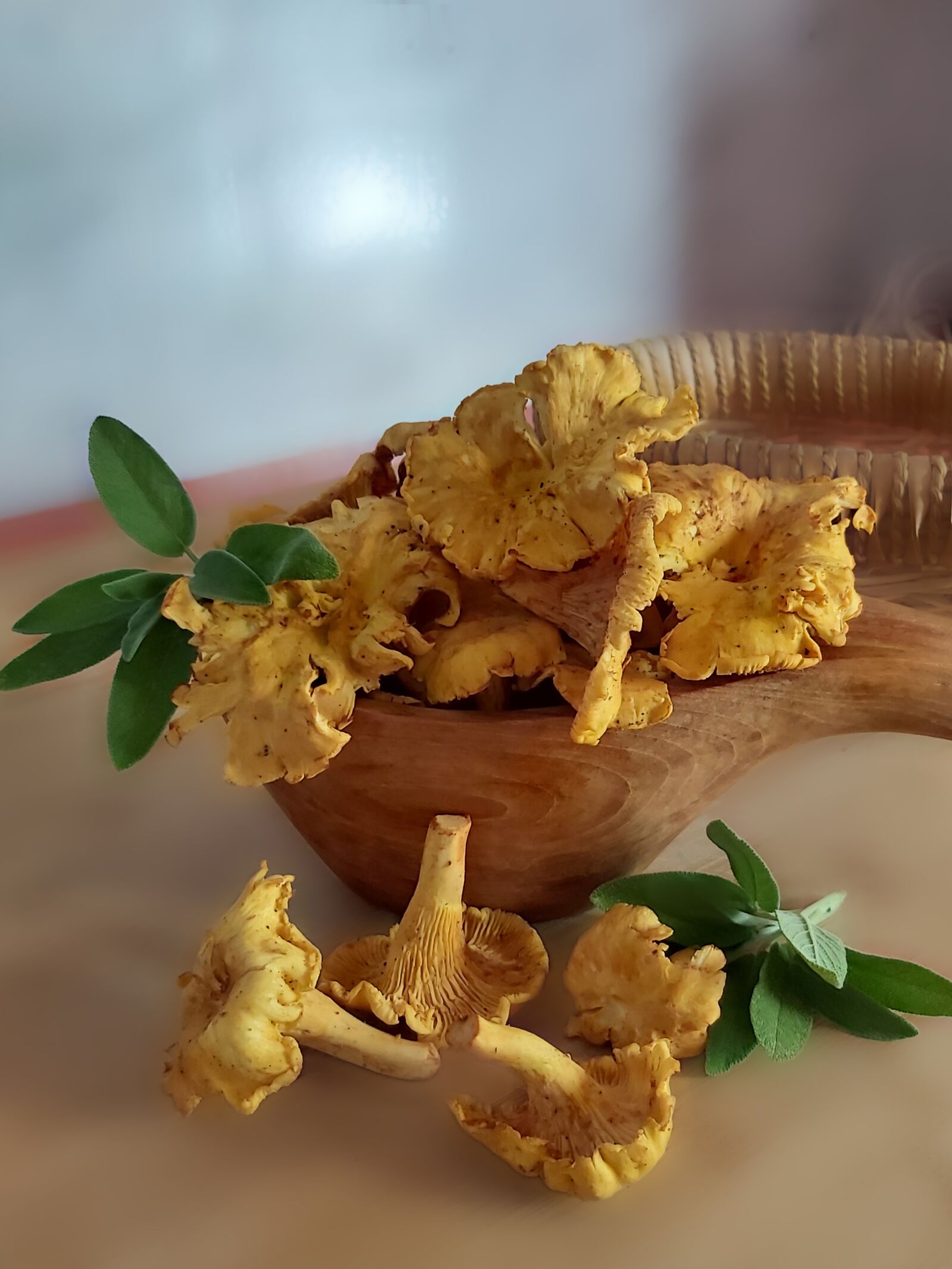 Samsung Galaxy A70 sample photo. Mushrooms, chanterelles, cantharellus photography