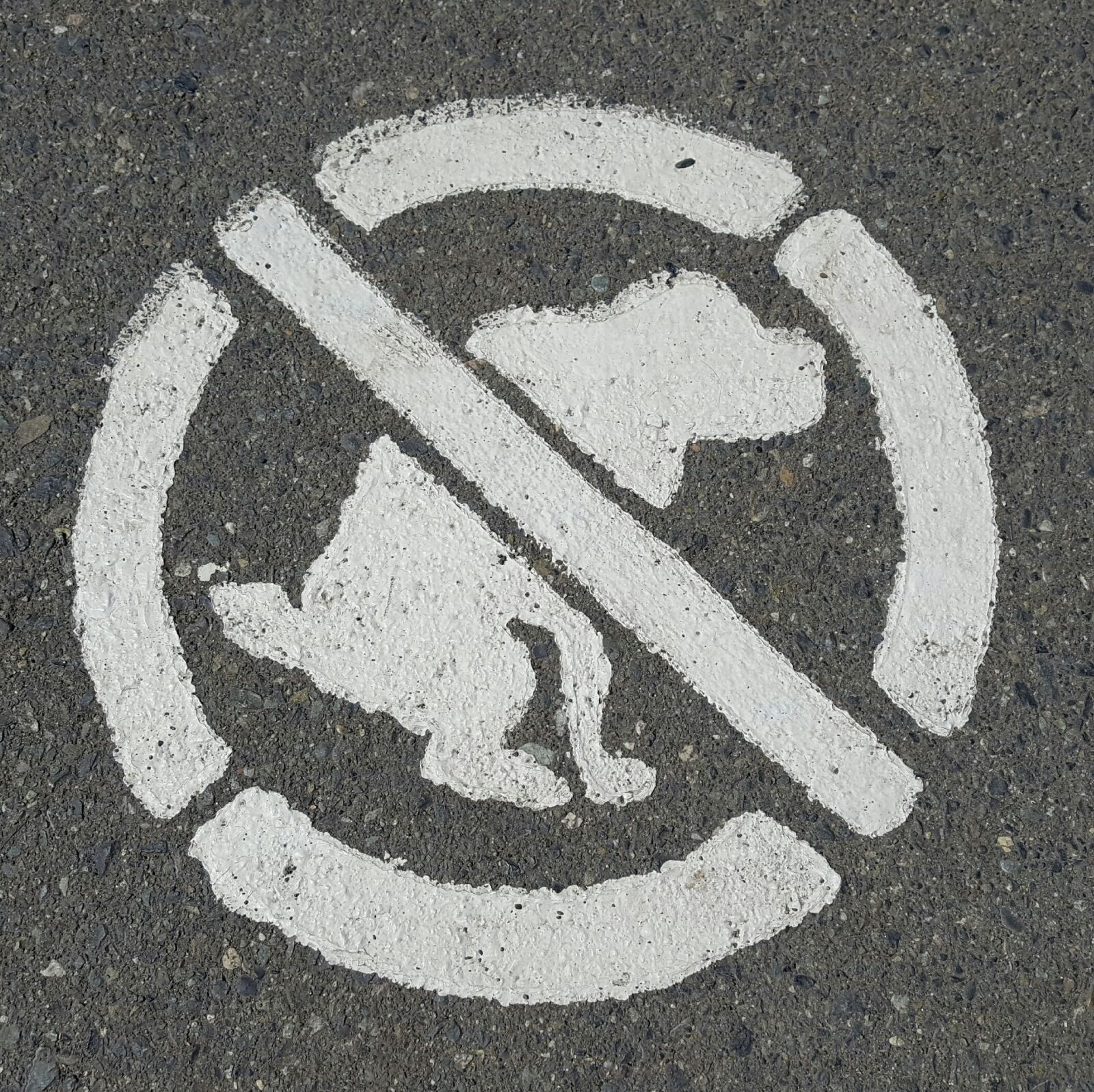Samsung Galaxy S6 sample photo. Dogs, signs, symbol photography