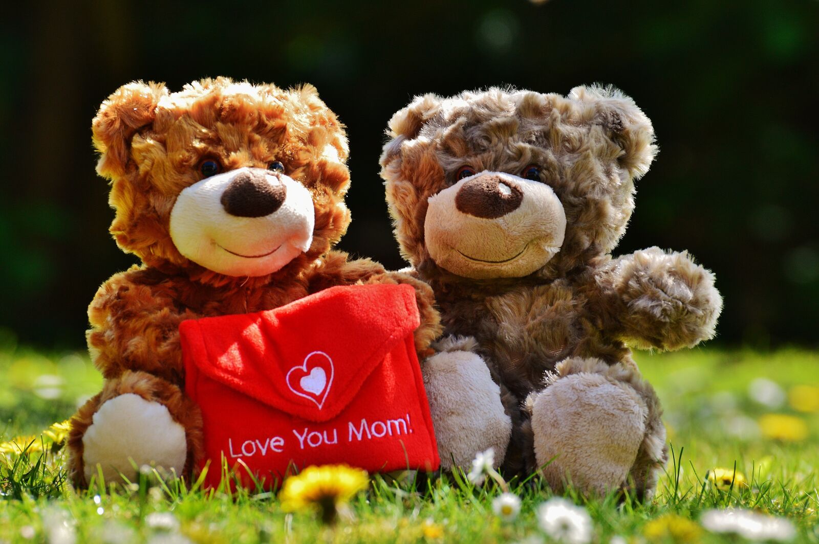 Nikon D3200 sample photo. Teddy, mother's day, love photography
