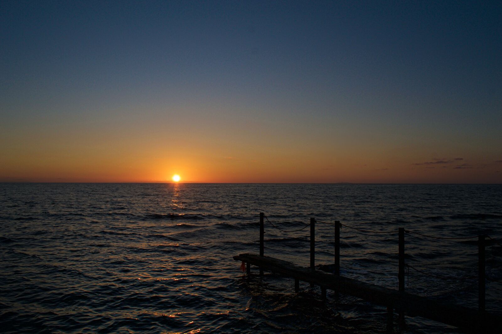 Nikon D3100 sample photo. Sun, summer, light photography