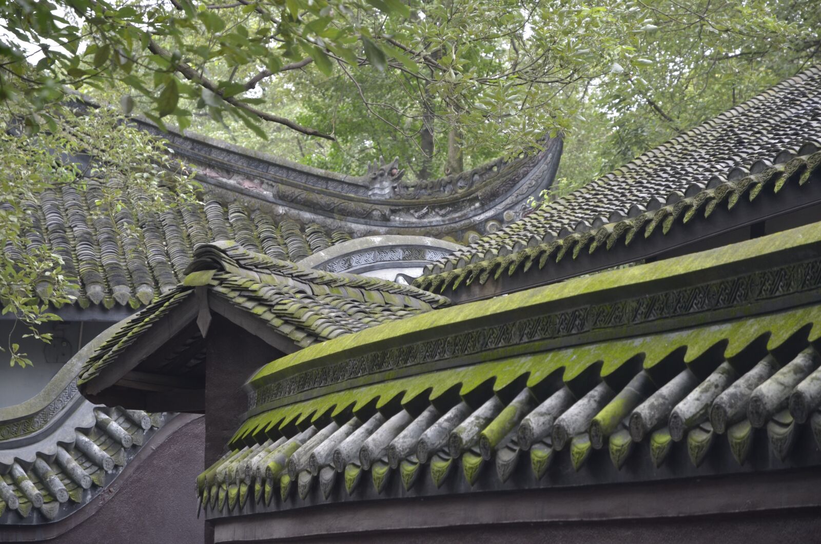 Nikon D7000 sample photo. China, stone wall, green photography