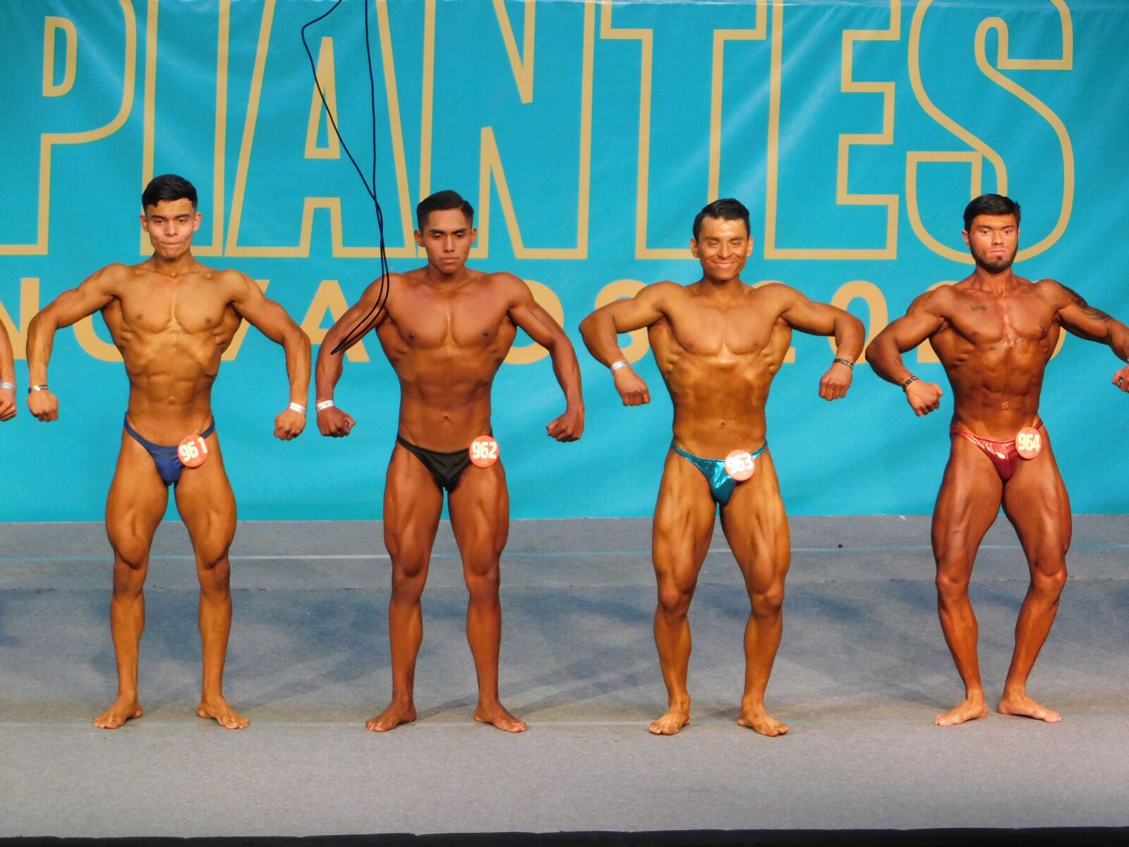 Nikon Coolpix B500 sample photo. Bodybuilding, muscle, fitness photography