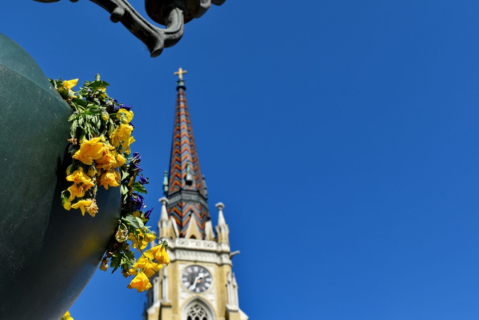 Nikon D5500 sample photo. Church tower, city, clock photography