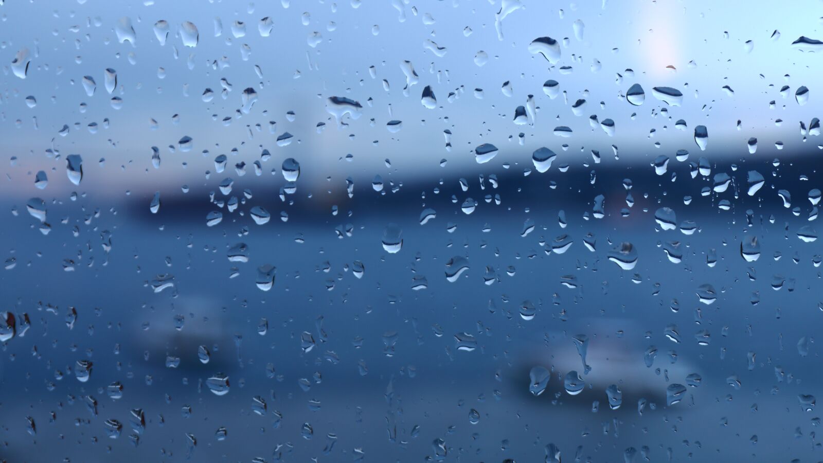 Canon EF 24-70mm F4L IS USM sample photo. Rain, drops, water photography