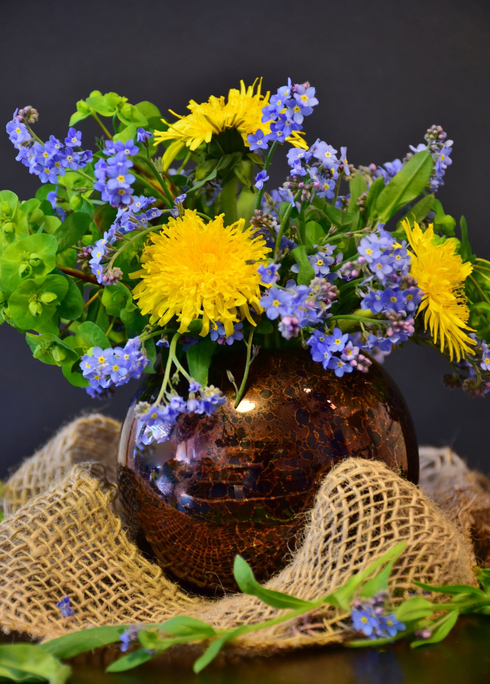 Nikon D7200 sample photo. Forget me not, dandelion photography