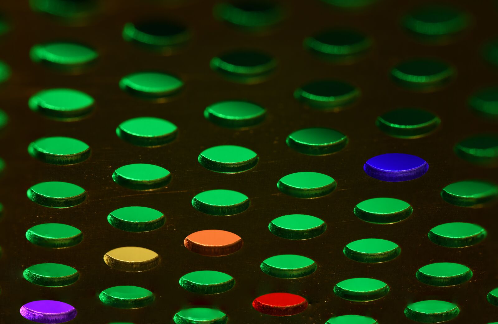 Nikon D850 sample photo. Abstract, green, pattern photography