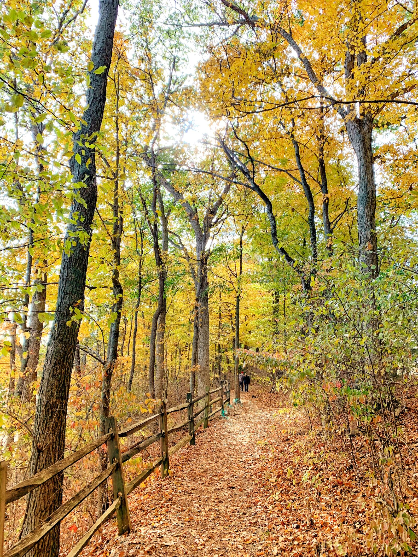 iPhone XR back camera 4.25mm f/1.8 sample photo. Fall, hike, autumn photography