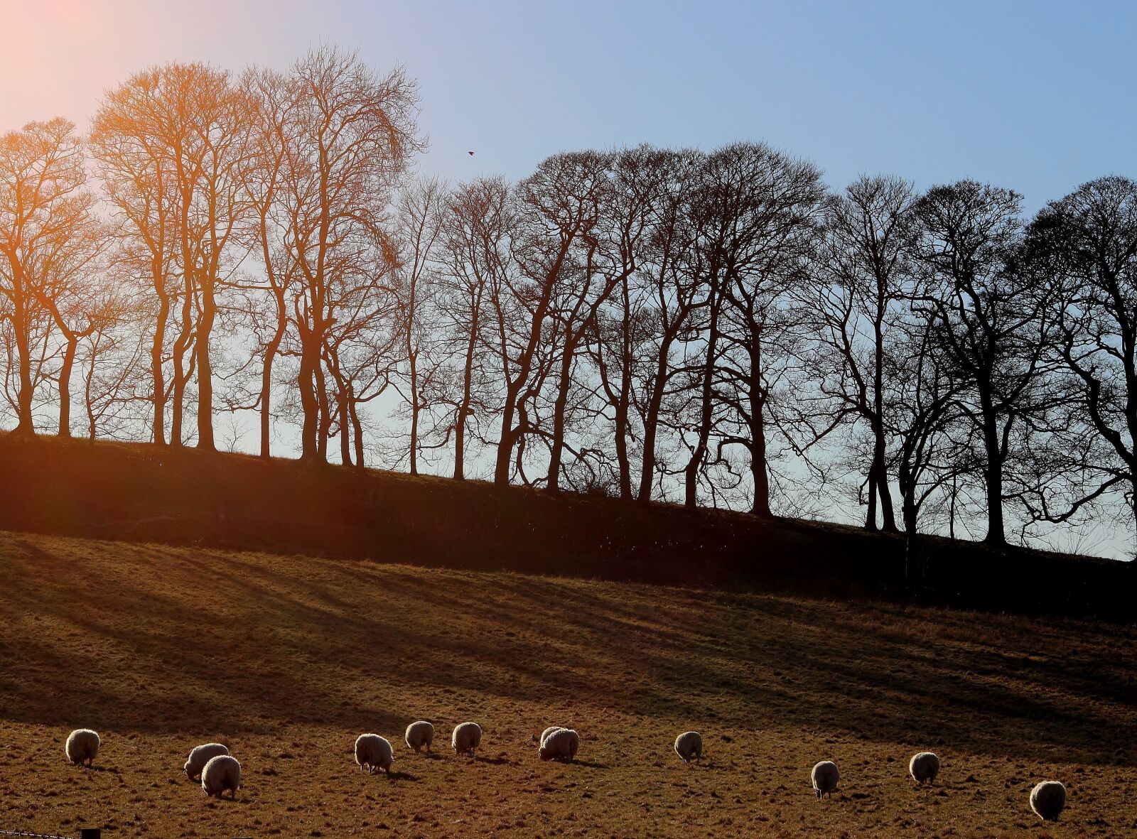 Canon EOS 600D (Rebel EOS T3i / EOS Kiss X5) sample photo. Winter, landscape, uk photography