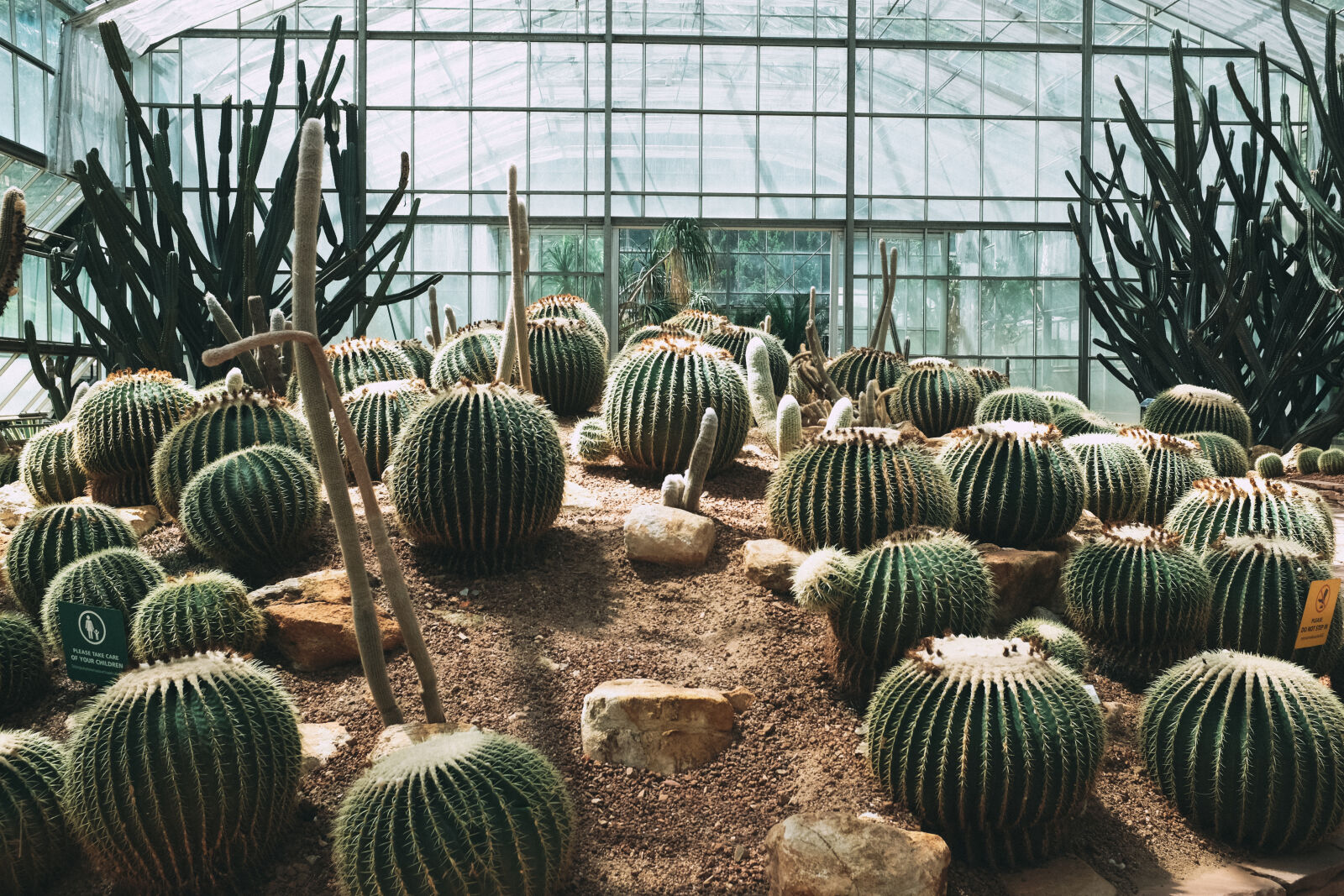 Fujifilm X100T sample photo