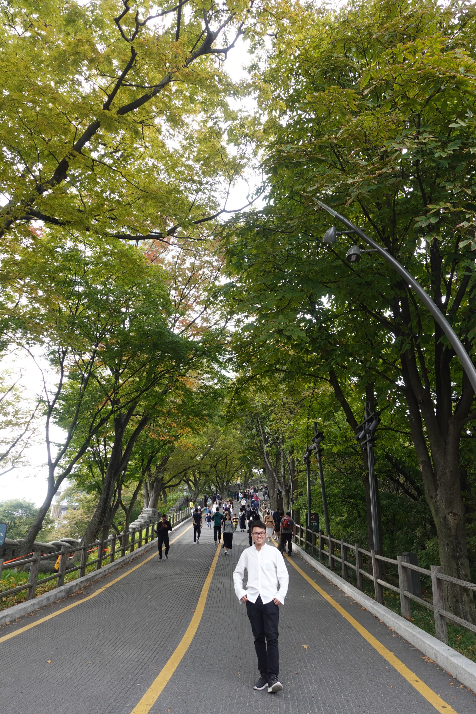 Sony ZV-1 sample photo