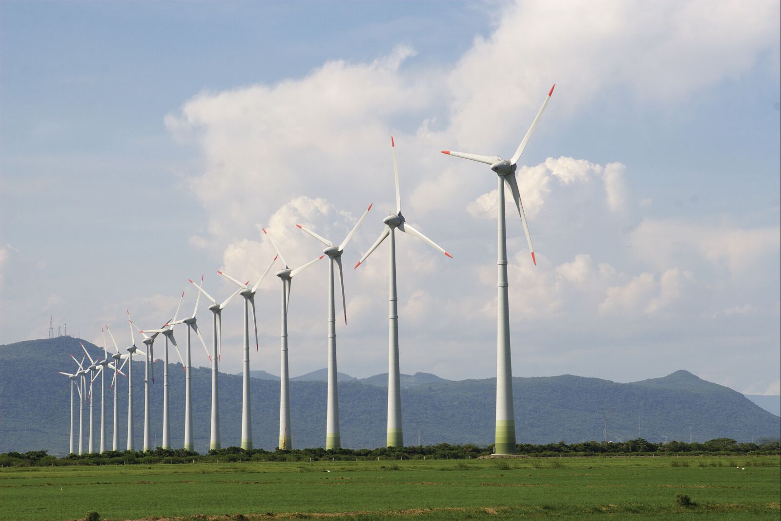 Canon EOS 30D sample photo. Os rio wind farm photography