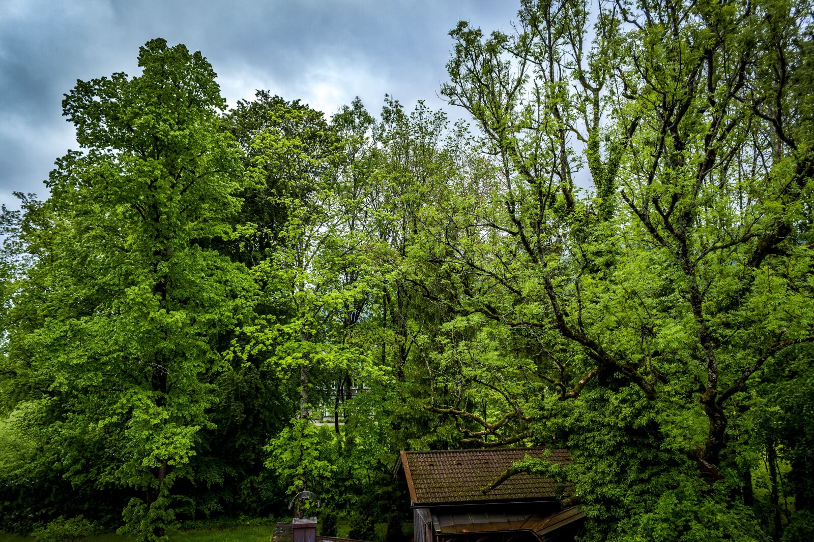 Canon EOS 1300D (EOS Rebel T6 / EOS Kiss X80) sample photo. Manor house, upper bavaria photography