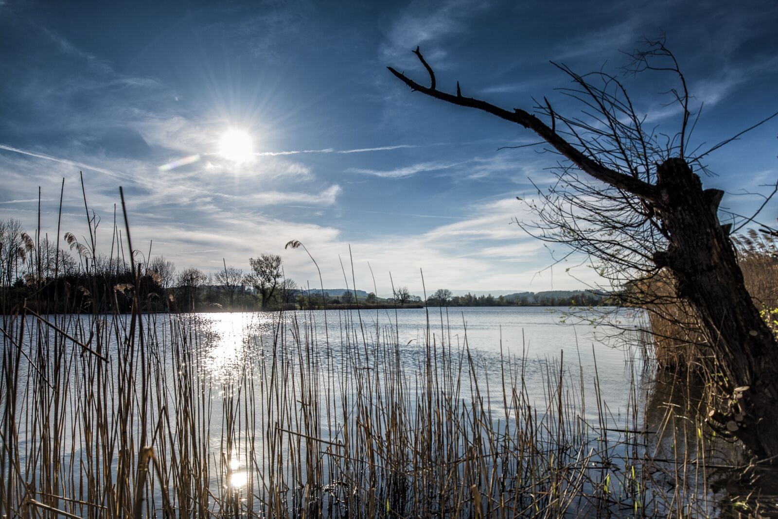 Nikon D810 sample photo. Lake, landscape, switzerland photography