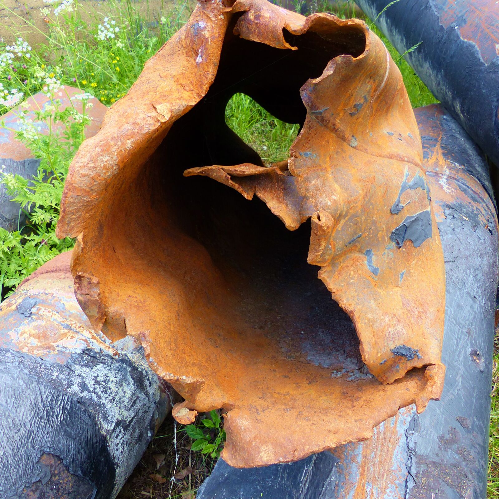 Panasonic Lumix DMC-FZ200 sample photo. Rust, ferl, piping photography